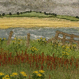 Ragwort and dock above Beadnell Bay, Northumberland  (14x28cms £250) by textile artist Mary Taylor