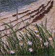 Camusdarach beach near Morar (12x25 cms £230) by textile artist Mary Taylor